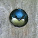 Sharon Hill Photo 33