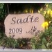Sadie Stone Photo 31