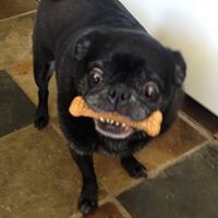 Joshua Neill Photo 21