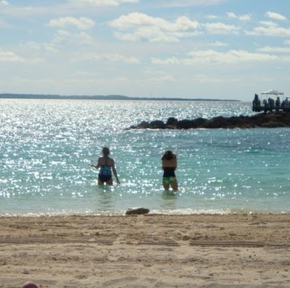 Jill Shaffer Photo 29