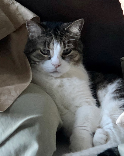 Kenny Mcdowell Photo 6