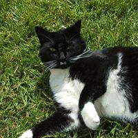 Sandra Hearn Photo 18