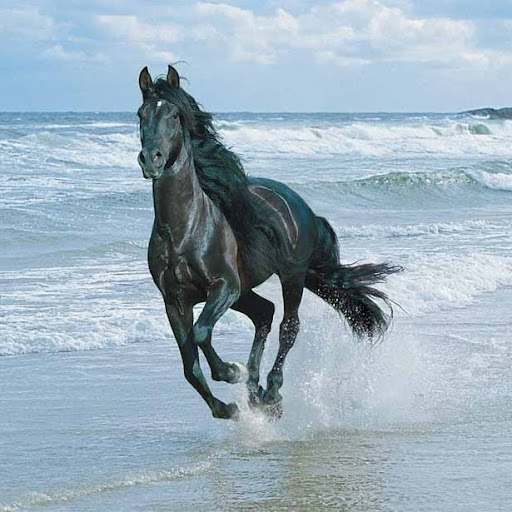 Kevin Stewart Photo 9