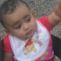 Michael Tripp Photo 15