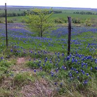 Debbie Waddell Photo 7