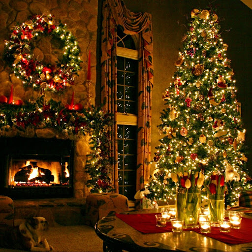 Christopher Dawson Photo 38