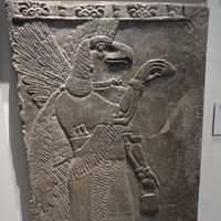 Neal Becker Photo 20