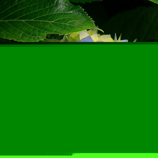 Tracey Mills Photo 11