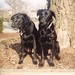 Todd Ryba Photo 7