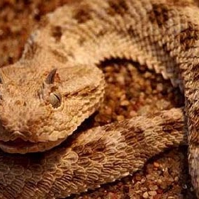 Nick Fleming Photo 33