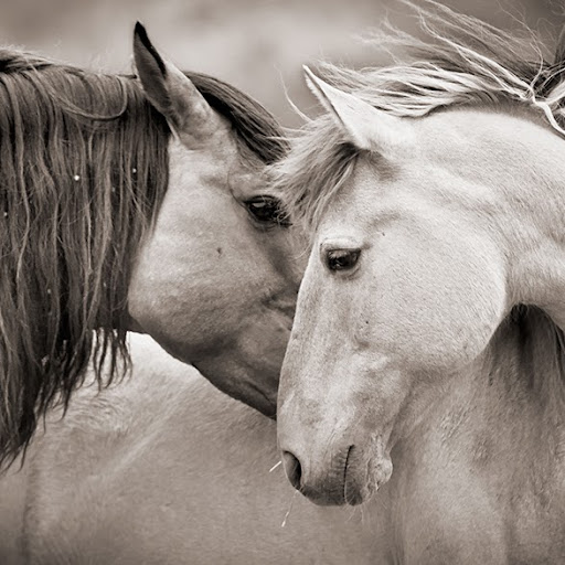 Kimberly Hodges Photo 27