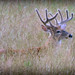 Timothy Buck Photo 13