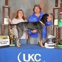 Michael Sheppard Photo 18 Michael Sheppard Photo 18