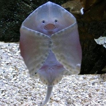 Melanie Aitken Photo 24