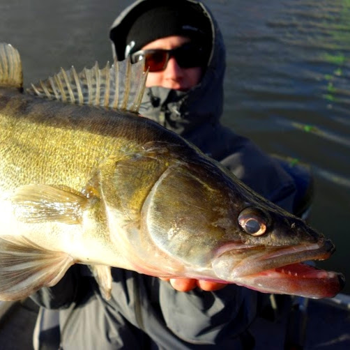 Thomas Stephan Photo 34