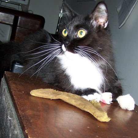 Annette Forbes Photo 6