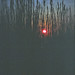 Sandy Reed Photo 10