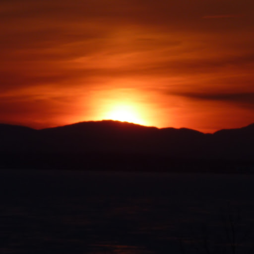 Joanne Knowlton Photo 3