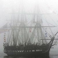 Steve Tower Photo 15