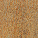 Rusty Rust Photo 6