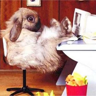 Kyle Forrest Photo 25