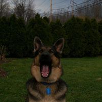 Nancy Effinger Photo 2