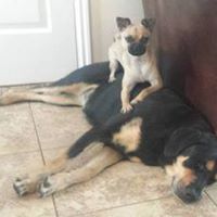 Aimee Hansen Photo 28