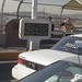 Mark Juarez Photo 22