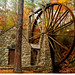 Lori Mills Photo 9