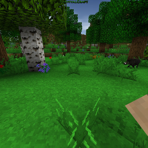 Kevin Donahue Photo 35