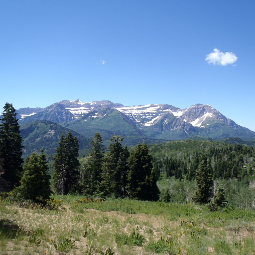 Robert Pyles Photo 8