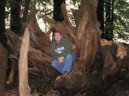 Elizabeth Jacoby Photo 24