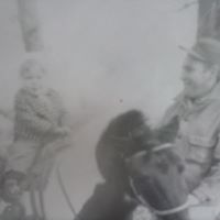 Robin Wolff Photo 15
