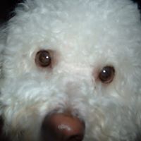 Andrea Rosenthal Photo 5