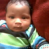 Henry Mccarthy Photo 8