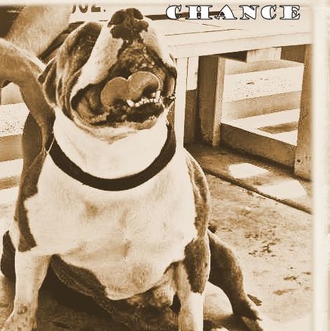 Christina Toth Photo 11