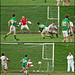 Daniel Mahony Photo 14