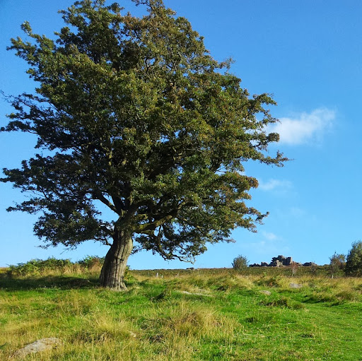 Cindy Schramm Photo 2