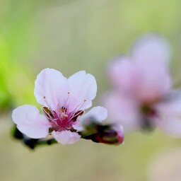 James Leung Photo 23