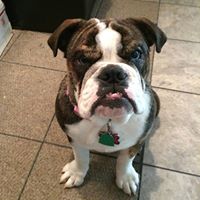 Erica Walter Photo 14