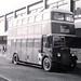 Mary Larner Photo 17