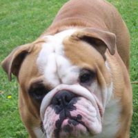 Darryl Stewart Photo 31