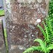 Ann Barker Photo 16