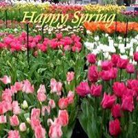 Debra Wooten Photo 19