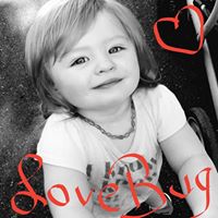 Elizabeth Palmieri Photo 7