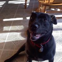 Darlene Daugherty Photo 8