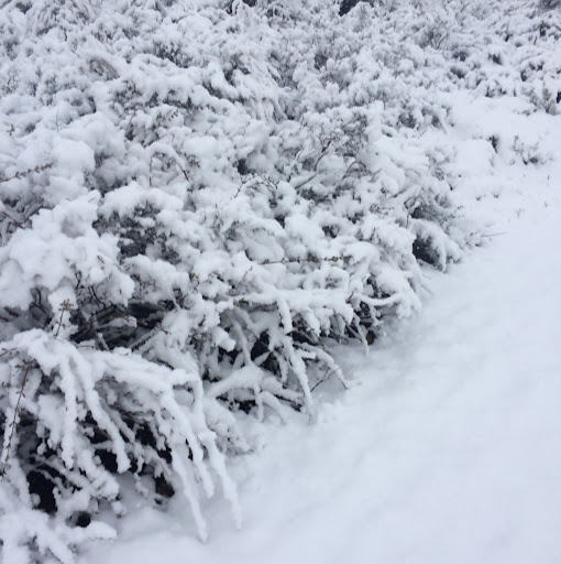 Kathryn Chen Photo 18