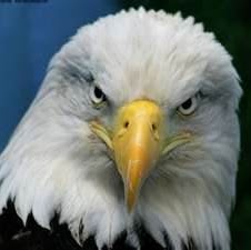 Keith Clements Photo 9