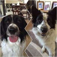 Maggie Browning Photo 20