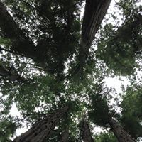 Ann Corcoran Photo 26 Ann Corcoran Photo 26